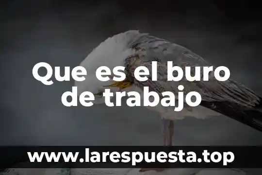 Que es el formato intl de buro credito 7 Que es el buro de trabajo
