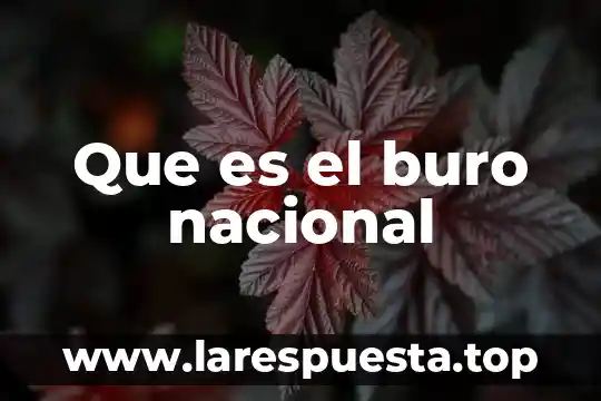 Que es el formato intl de buro credito 5 Que es el buro nacional
