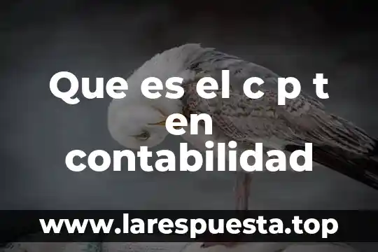 Que es el material tipo p electronica 3 Que es el c p t en contabilidad