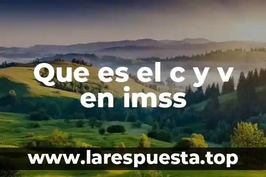Qué es el alzhéimer según DSM V 3 Que es el c y v en imss