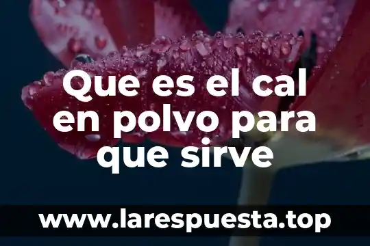 Que es el cal en polvo para que sirve