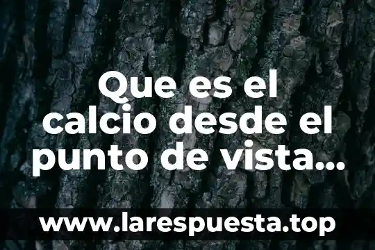 Qué es el ser humano punto de vista filosófico 7 Que es el calcio desde el punto de vista medico