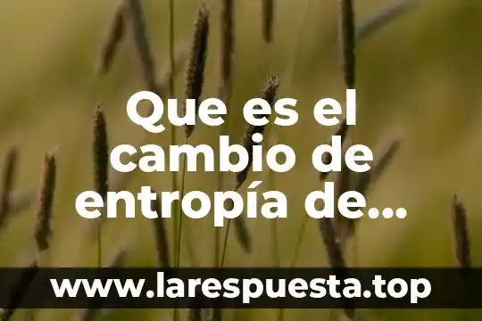 Que es un cambio de paradigma cientifico 3 Que es el cambio de entropía de sustancias puras