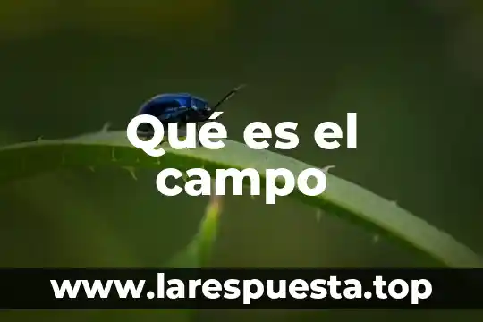 Que es el campo odológico 6 Qué es el campo
