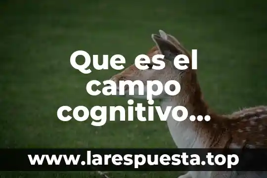 Que es el metodo cientifico segun bunge 8 Que es el campo cognitivo mario bunge