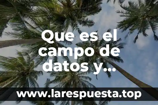 Que es el campo de datos y formulas excel
