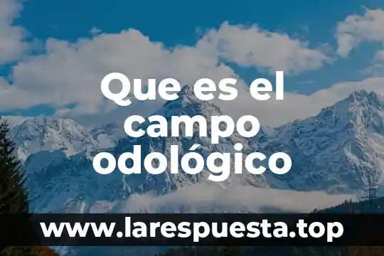 Que es r un campo en word 8 Que es el campo odológico