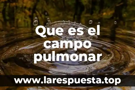 Que es el campo odológico 4 Que es el campo pulmonar