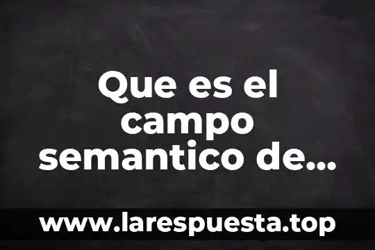 Que es el desarrollo semantico 5 Que es el campo semantico de una palabra
