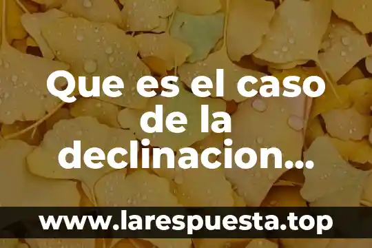 Qué es América Latina para Alain Rouquié resumen 3 Que es el caso de la declinacion latina