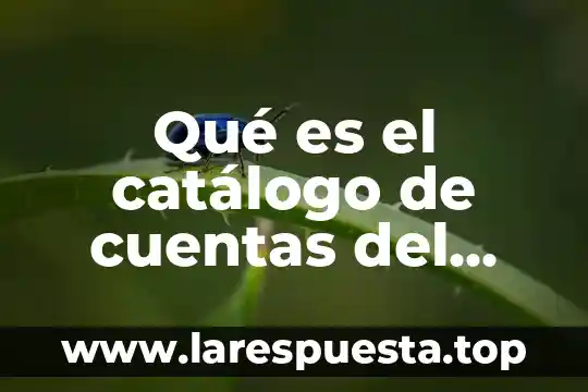 Que es un catalogo en comercios 3 Qué es el catálogo de cuentas del SAT definición