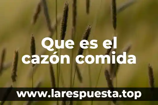 Que es el gas lp en comida 4 Que es el cazón comida