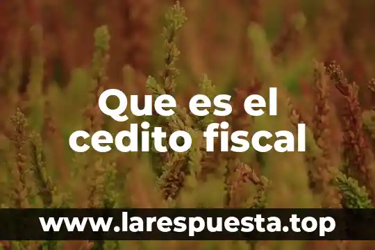 Que es fiscal de transito 8 Que es el cedito fiscal