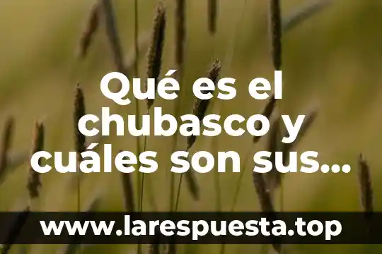 Qué es el chubasco y cuáles son sus características