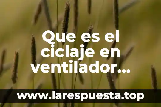 Qué es la iee en un ventilador mecánico 5 Que es el ciclaje en ventilador mecanico