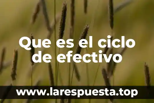Que es ciclo fisica 5 Que es el ciclo de efectivo
