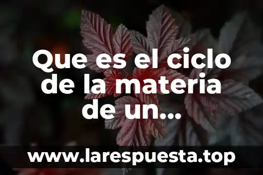 Que es ciclo fisica 4 Que es el ciclo de la materia de un ecosistema