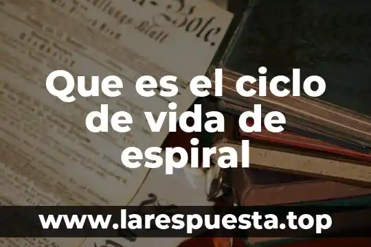 Que es la espiral fáctica de una politica 3 Que es el ciclo de vida de espiral