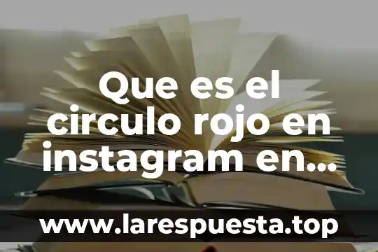 Qué es Instagram y sus características 4 Que es el circulo rojo en instagram en buscar personas