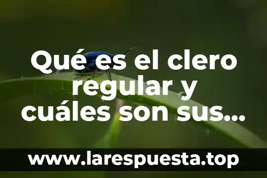 Que es un poliedro estrellado y cuales son 7 Qué es el clero regular y cuáles son sus funciones