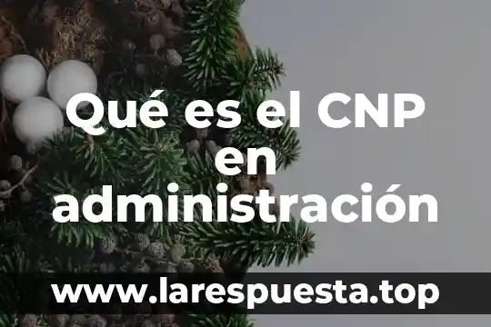 Qué es el CNP en administración