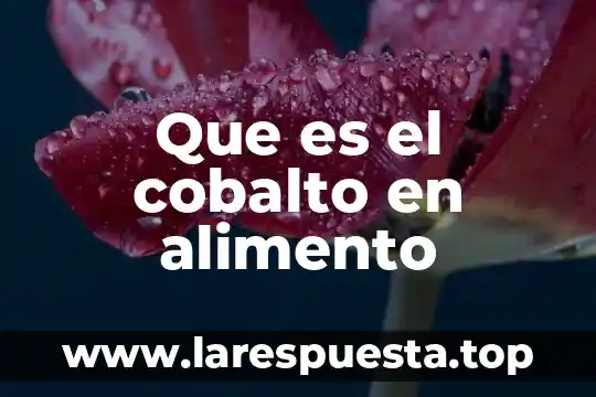 Que es el peso constante en una muestra de alimento 3 Que es el cobalto en alimento
