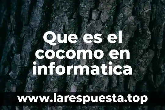 Procesos gastronómicos que es 4 Que es el cocomo en informatica