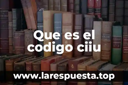 Qué es el código de la gente en rep 4 Que es el codigo ciiu