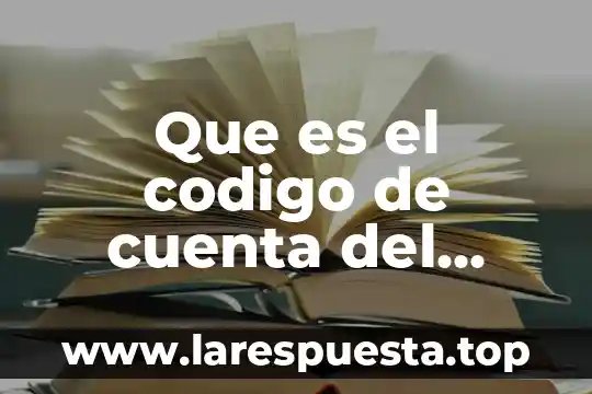 Que es un catalogo en comercios 8 Que es el codigo de cuenta del catalogo