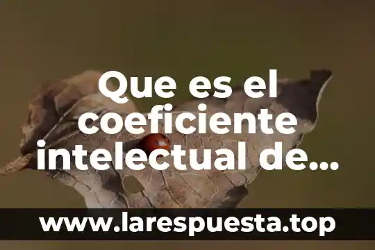 Que es intelectual de educacion especial 7 Que es el coeficiente intelectual de una persona normal