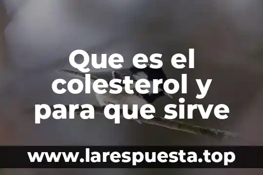 Serialcloner que es y para que sirve 6 Que es el colesterol y para que sirve