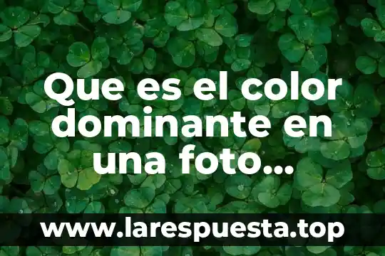 Que es el color dominante en una foto diseño
