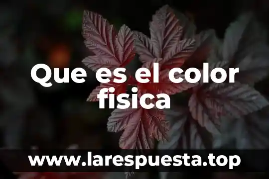 Que es el color fisica