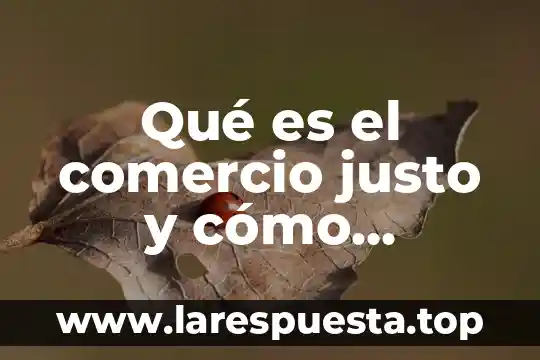 Para las empresas que es justo a tiempo 6 Qué es el comercio justo y cómo funciona
