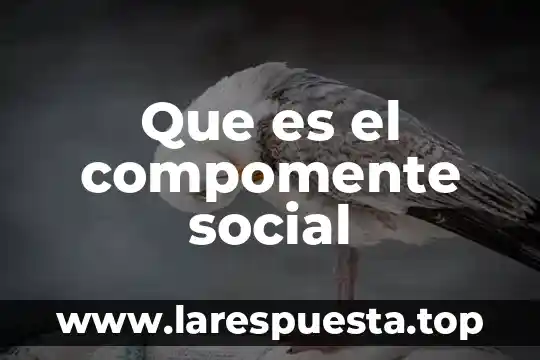 Que es el compomente social