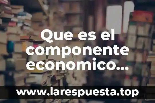 Que es el componente economico productivo