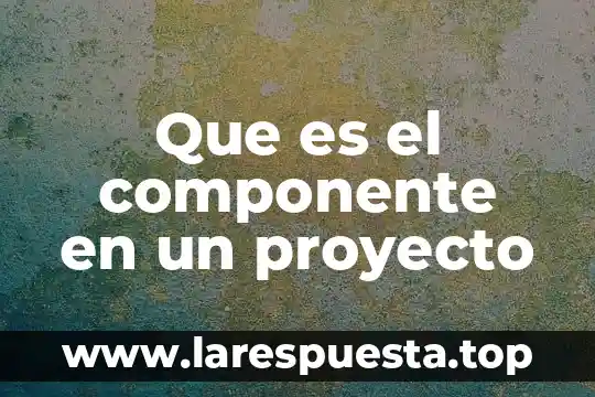 Que es un proyecto didactico de vinculacion 5 Que es el componente en un proyecto