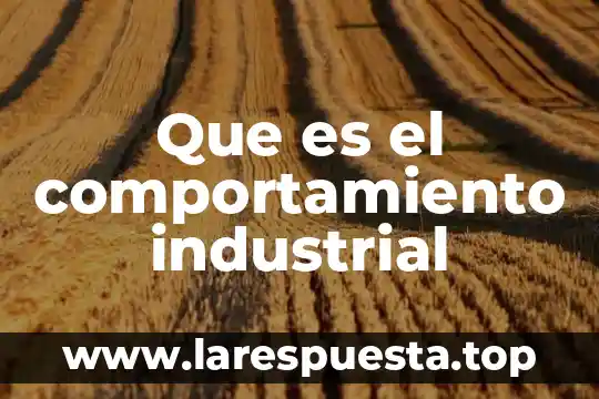Que es la ley justicia y virtud para socrates 7 Que es el comportamiento industrial