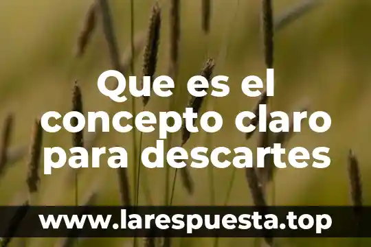 Que es el concepto claro para descartes