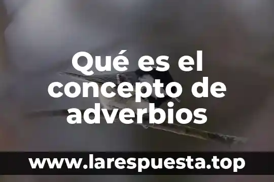 Qué es el concepto de adverbios