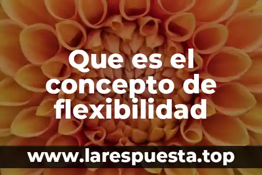 Que es flexibilidad y sus ejemplos 7 Que es el concepto de flexibilidad