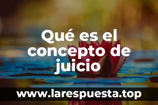 Qué es el concepto js en el talón de cheque 6 Qué es el concepto de juicio