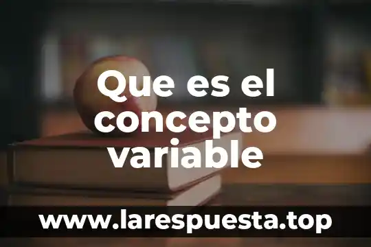Que es el fondo variable 5 Que es el concepto variable