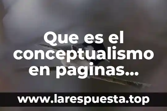 Que es paginas mas vistas de la computadora 6 Que es el conceptualismo en paginas web ejemplos