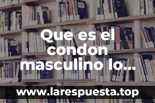 Que es el condon masculino lo mas hinportante ysus nombres