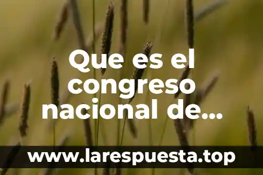 Que es el congreso nacional de fisica