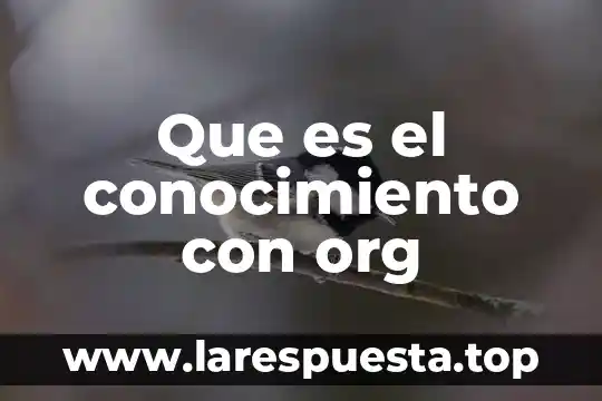 Que es el conocimiento con org