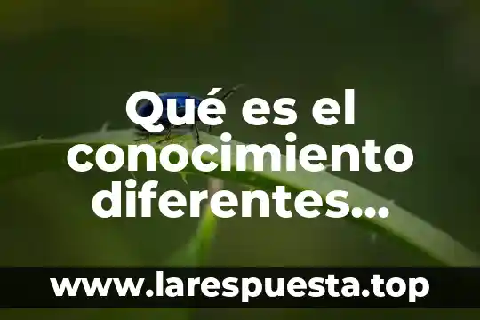 Qué es el conocimiento diferentes autores