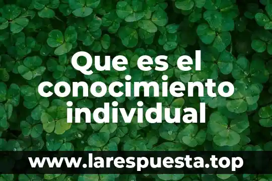 Que es el conocimiento individual