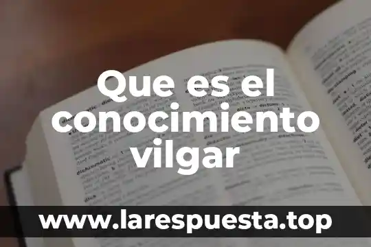 Que es el conocimiento vilgar
